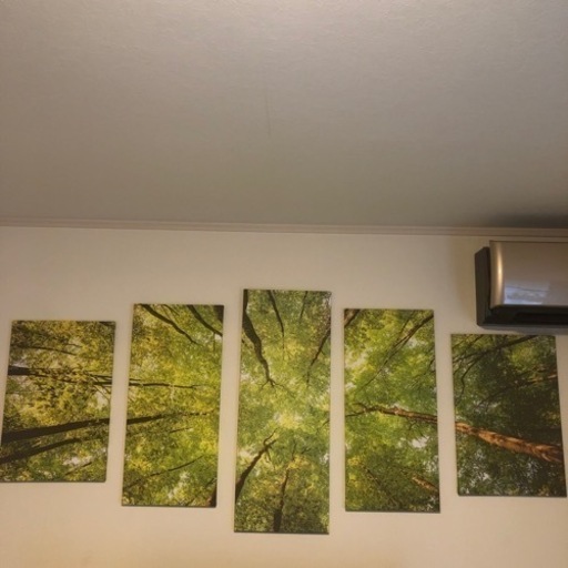 ✨美品✨アートパネル　キャンパス絵画　5枚　森林浴　ヒーリング