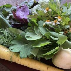 琉球料理伝承人から学ぶ「ナージューシ」と「ナットゥンスー」の画像