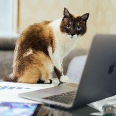 Robocon Business Schoolの画像