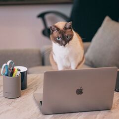 Robocon Business Schoolの画像