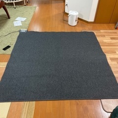 【話し中】ホットカーペット(YAMAZEN)