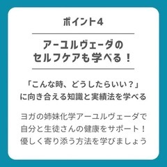 2025年 SSYヨガ指導者養成基礎コース 3期生募集 茅ヶ崎でヨガ指導者へ！の画像
