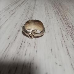 カレンシルバー①の画像