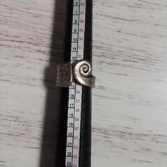 カレンシルバー③の画像