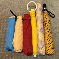 折りたたみ傘10本セットの画像