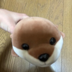 カワウソ　ぬいぐるみ