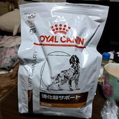 犬のフード