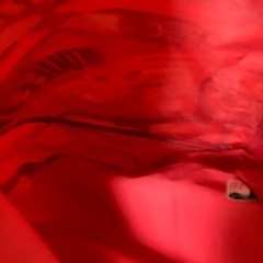 カーズ　リュックサックの画像