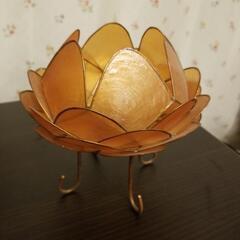 小物ハス大ぴんく