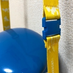 ディズニーリゾート ポップコーンバケットの画像