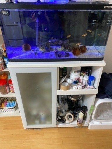 海水水槽セット　6点
