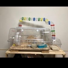 ハムスター　ジョイントバスハウス　ジョイントパイプ　ヒーター　冷感キューブ　飼育セットの画像