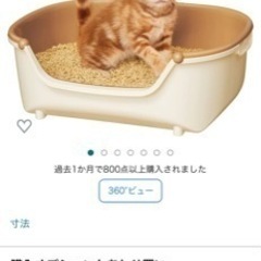 ニャンとも清潔トイレ　子猫の画像