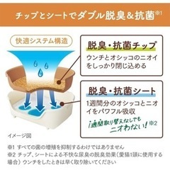 ニャンとも清潔トイレ　子猫の画像