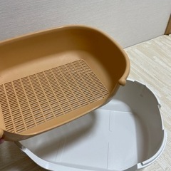 ニャンとも清潔トイレ　子猫の画像