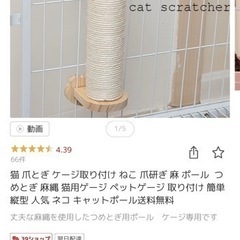 チャオちゅーる、缶詰、爪研ぎセット　猫の画像