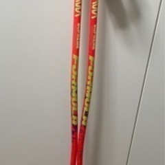 NISHIZAWA アルペン スキーストック