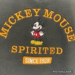 ミッキーフリースの画像
