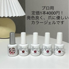 【定価約20000円】プロ愛用品　ジェルネイル　カラージェル　ジ...