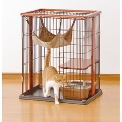 ボンビアルコン (Bonbi) ウッドワンサークルキャット ミニ