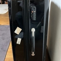 取引中　大型キャリーケース　キャリーバッグ　スーツケース　連泊用の画像