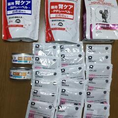 決まりました　腎臓病の猫ちゃん用療法