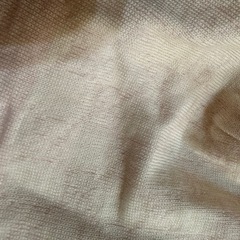 グッチニットの画像