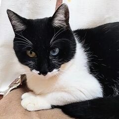 白黒♀　家族が決まりました