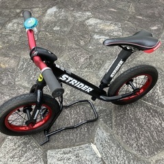 STRIDERスポーツモデル、フルオプション車