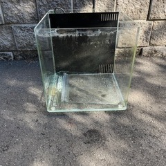 背面濾過水槽