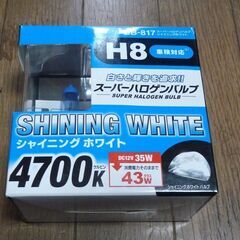 Ｈ８ハロゲンバルブ　35W、100W　（Ｈ１０装着可能）