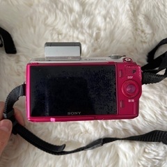 デジタル一眼レフの画像