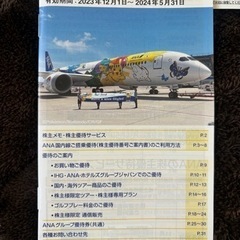 郵送可　ANAの株主優待券7枚＋グループ優待券（値下げしました)の画像