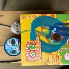 くるくる回転ハムスター、ツンツン猫用