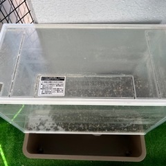【決定しています】水槽　GEXの画像