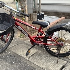 20インチ