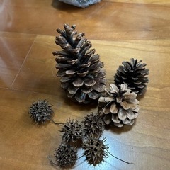 ドライフラワー、松ぼっくり他