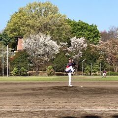 マネージャー募集　野球好きな方・活動を撮影していただけませんか？ - 友達