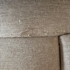 2人掛け　ローソファ　ベッド(ヘタリ等は無いが、猫による傷多数あります)の画像