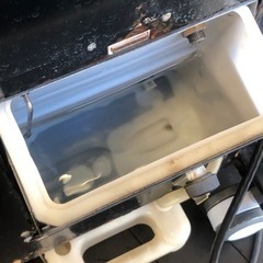 ナオモト　パルッキーの画像