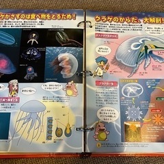 カガクル　改装版＋カガクル　8冊セットの画像
