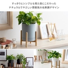 プランターの画像