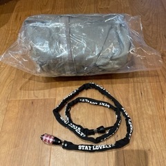 【決まりました】エアバギー　ココダブルexフロムバースの画像