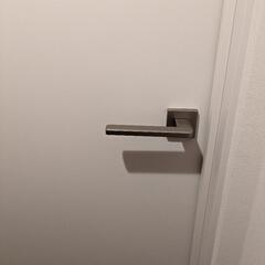 建具  取っ手付き 高さ2160 幅677の画像