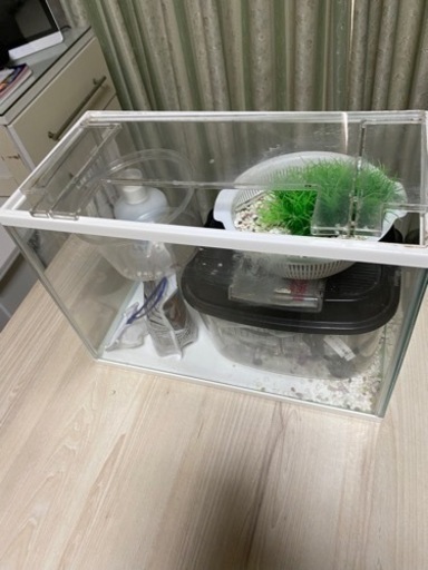 水槽セットお譲りします