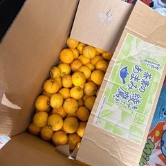 決定しています！ゆず　大量の画像