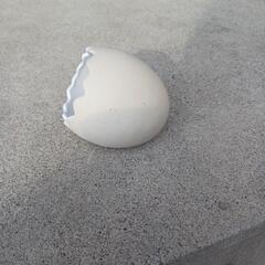 陶器たまご型の画像