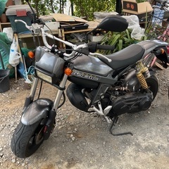 ストリートマジック50