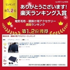 未使用 車載 電気 ブランケット ひざ掛け 電気毛布 大判 車用 シガーソケット 12Vの画像