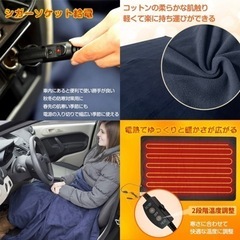 未使用 車載 電気 ブランケット ひざ掛け 電気毛布 大判 車用 シガーソケット 12Vの画像